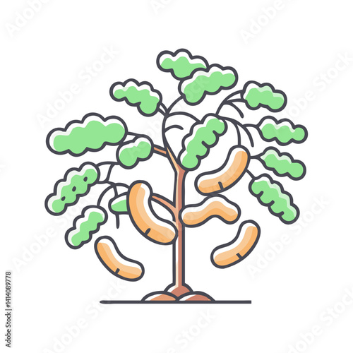 Illustration of a Tamarind Tree with Abundant Ripe Fruits Hanging from its Branches