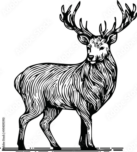 Vintage engrave isolated deer illustration ink sketch. Wild doe stag background reindeer vector art