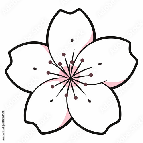 hand drawn cherry-blossom flower outline illustration 