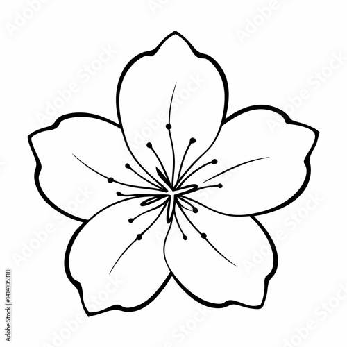 hand drawn cherry-blossom flower outline illustration 