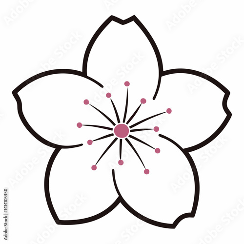 hand drawn cherry-blossom flower outline illustration 