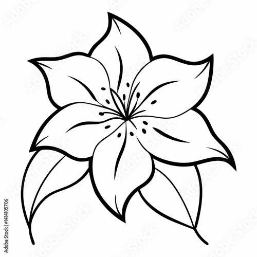hand drawn clematis flower outline illustration 