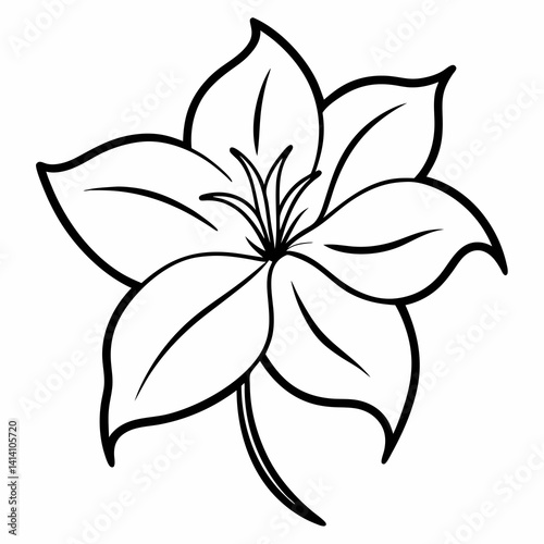 hand drawn clematis flower outline illustration 
