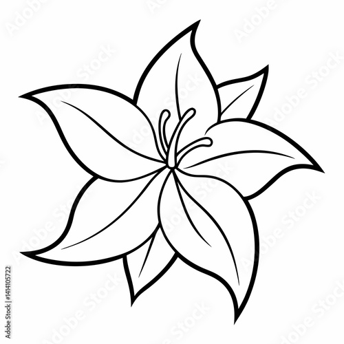 hand drawn clematis flower outline illustration 