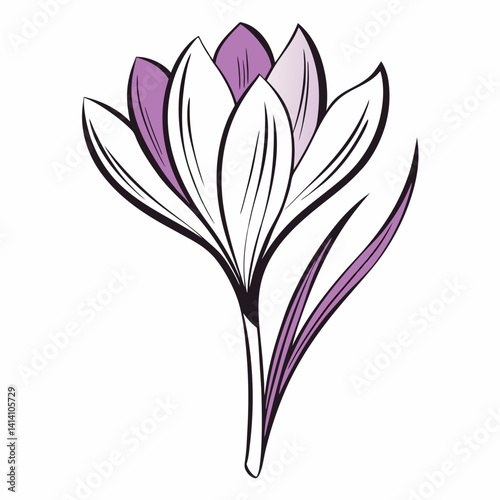 crocus hand drawn crocus flower outline illustration 