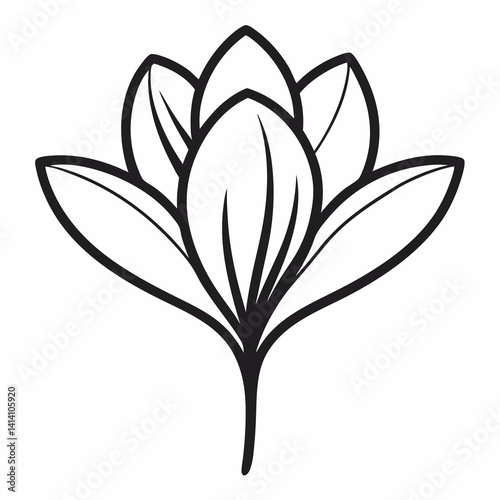 crocus hand drawn crocus flower outline illustration 