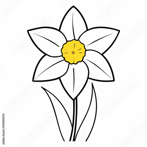 hand drawn daffodil flower outline illustration 