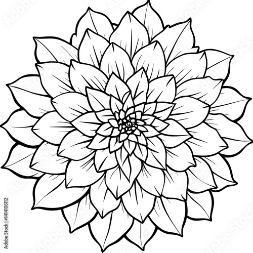 hand drawn dahlia flower outline illustration 