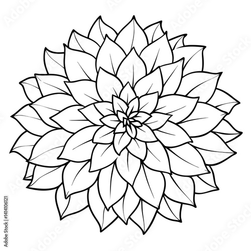 hand drawn dahlia flower outline illustration 