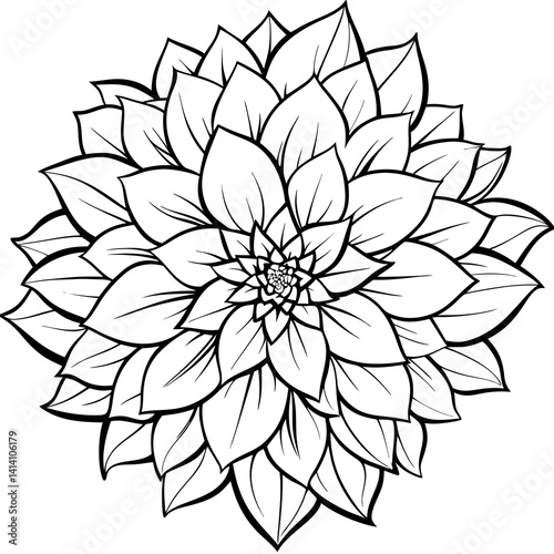 hand drawn dahlia flower outline illustration 
