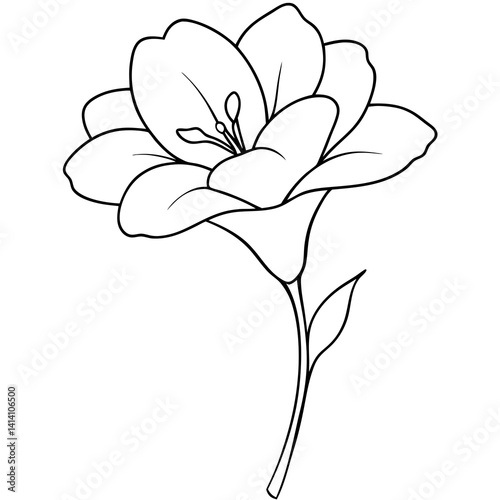 hand drawn freesia flower outline illustration 