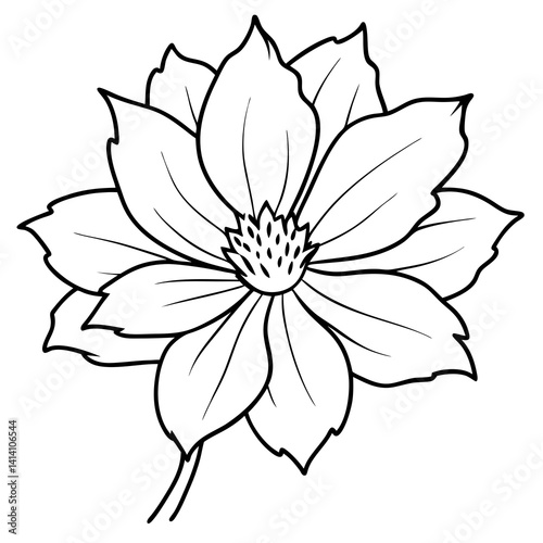 hand drawn garden flower outline illustration 