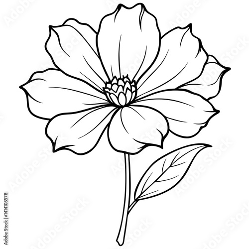 hand drawn garden flower outline illustration 