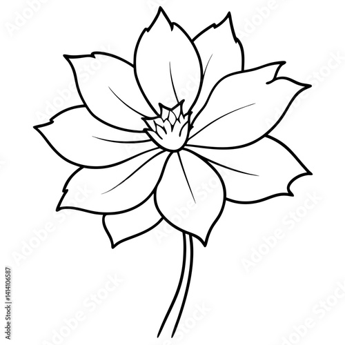 hand drawn garden flower outline illustration 