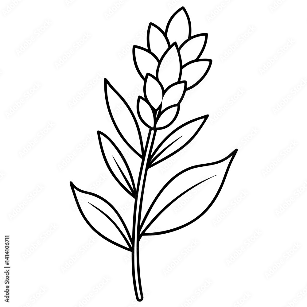 Obraz premium hand drawing flower outline
