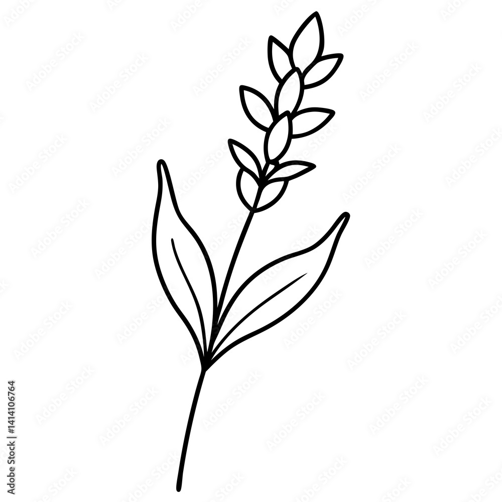 hand drawing flower outline hand drawing flower outline