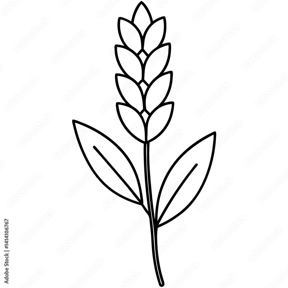 Fototapeta premium hand drawing flower outline