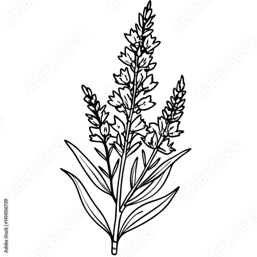 hand drawing flower outline
