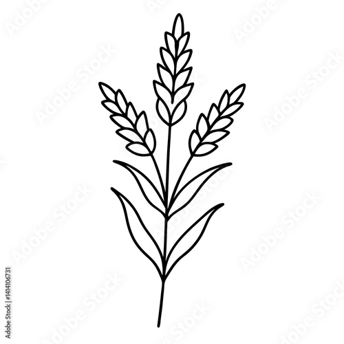 hand drawing flower outline