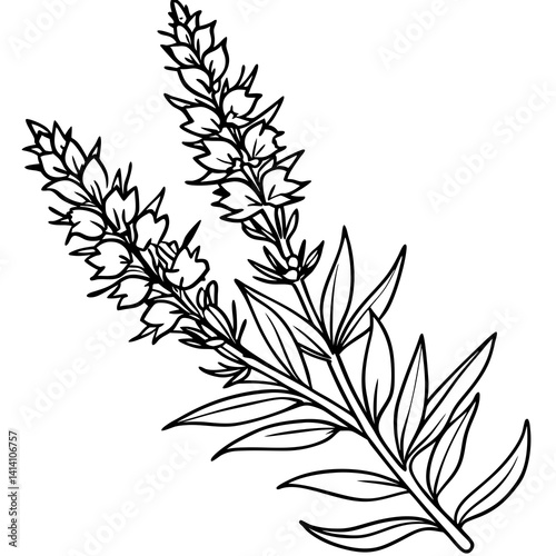 hand drawing flower outline
