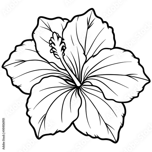 hand drawn heather flower outline illustration 