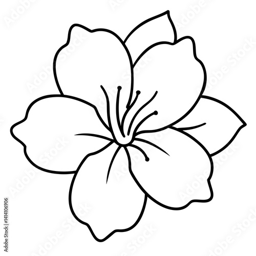 hand drawn heather flower outline illustration 