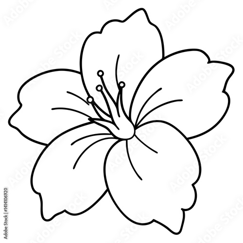 hand drawn heather flower outline illustration 