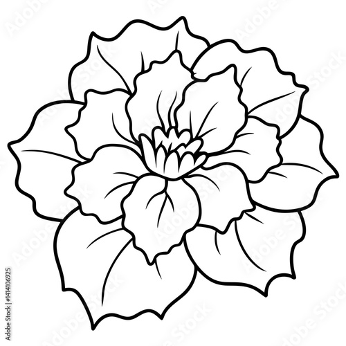 hand drawn -hyacinth flower outline illustration 