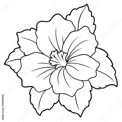 hand drawn -hyacinth flower outline illustration 