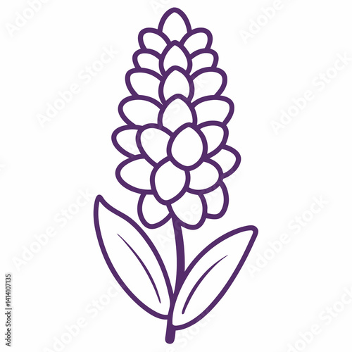hand drawn -hyacinth flower outline illustration 