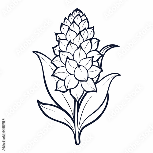hand drawn -hyacinth flower outline illustration 