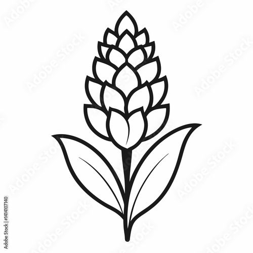 hand drawn -hyacinth flower outline illustration 