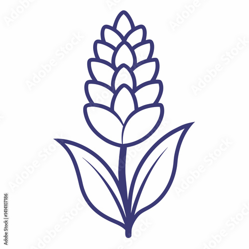 hand drawn -hyacinth flower outline illustration 