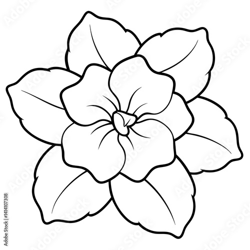 hand drawn impatiens flower outline illustration 