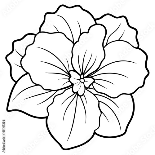 hand drawn impatiens flower outline illustration 