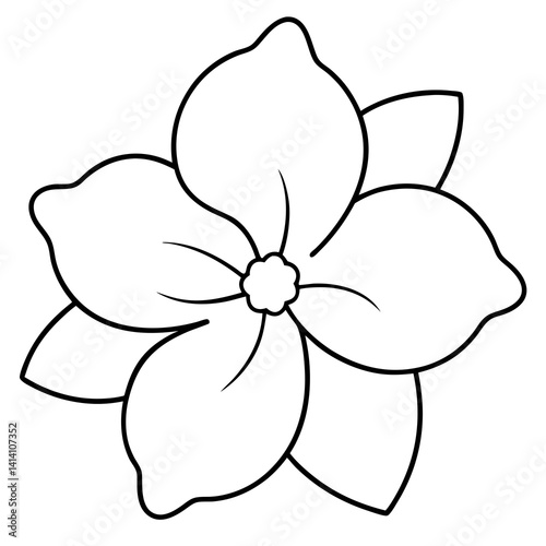 hand drawn impatiens flower outline illustration 