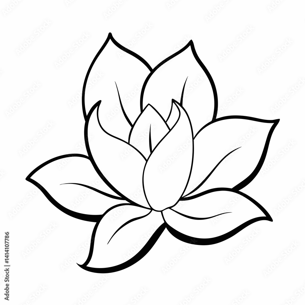 hand drawn magnolia flower outline illustration hand drawn magnolia flower outline illustration