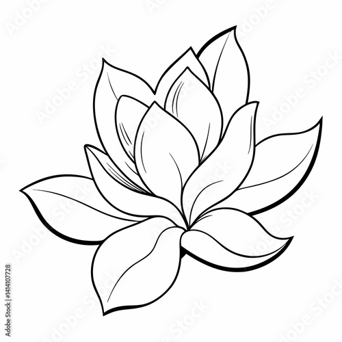 hand drawn magnolia flower outline illustration 