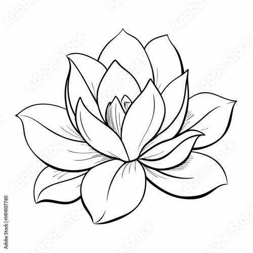 hand drawn magnolia flower outline illustration 