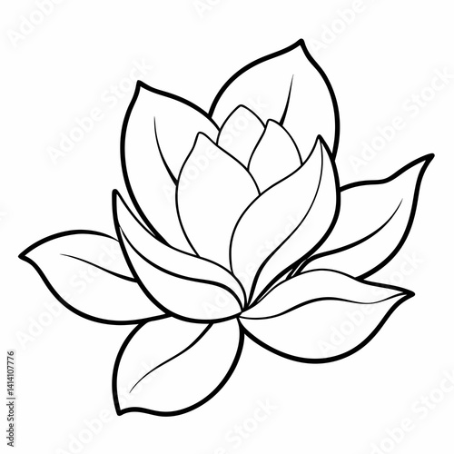 hand drawn magnolia flower outline illustration 