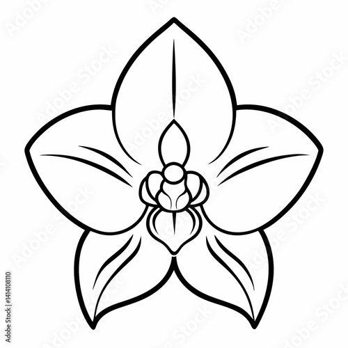 hand drawn woody flower outline illustration 