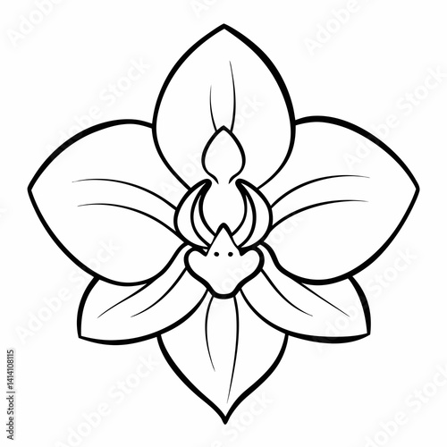 hand drawn woody flower outline illustration 