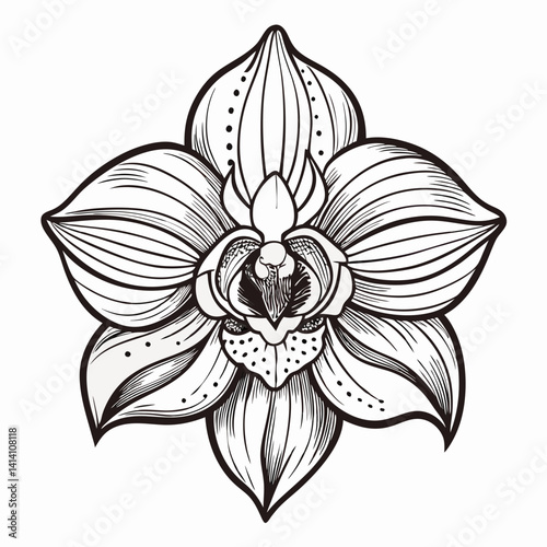 hand drawn woody flower outline illustration 