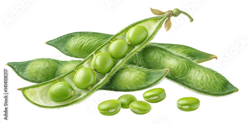Fresh Green Fava Beans: Close-up view of fresh, vibrant green fava beans, some in pods and others scattered around, against a clean backdrop, ideal for culinary and agricultural purposes.