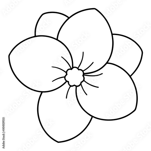 hand drawn carnation flower outline illustration 