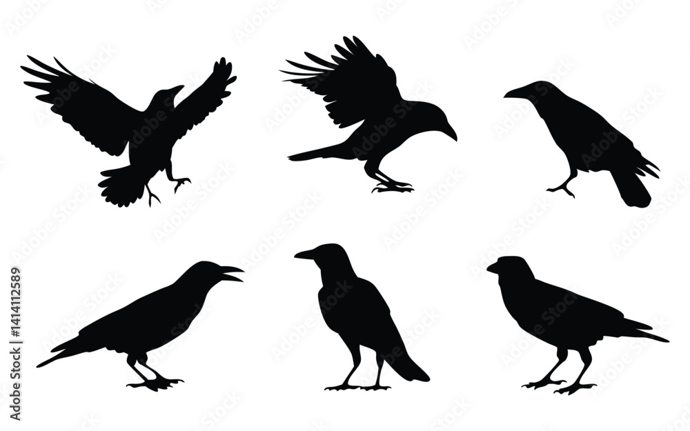 Crow vector silhouette set