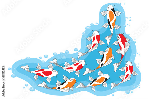 Vector illustration of Koi fish. Group of koi fish swimming in water