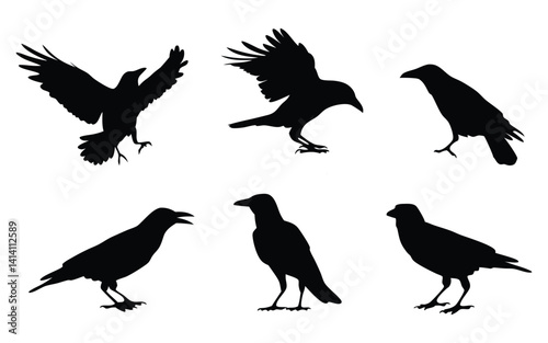 Obraz na płótnie Crow vector silhouette set w salonie
