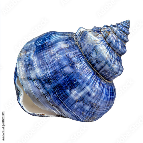Isolated blue seashell on plain white background, perfect for marine-themed designs, beach decor, ocean graphics, and coastal product visuals.

