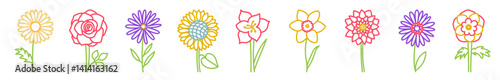 Flower vector colorful outline set. Hand drawn sketch floral collection. Types of flowers. Chamomile, rose, sunflower, aster, amaryllis, daffodil, anemone, lotus, lily and gerbera